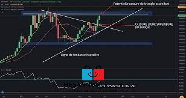 Avis aux amoureux du trading - je forme et je dési